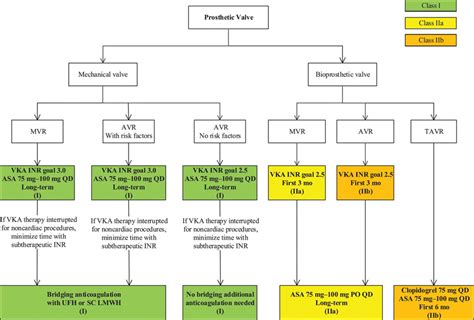 anticoagulation for lv thrombus
